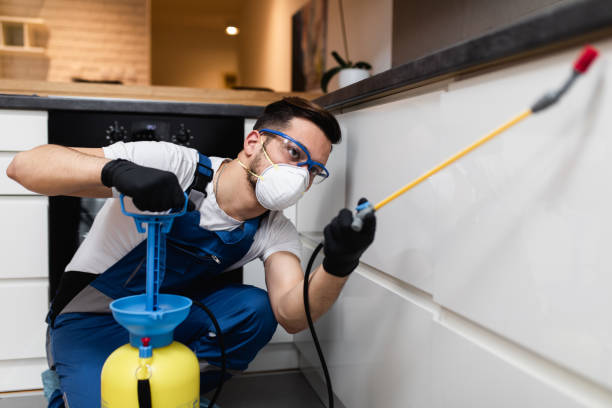 Pest Prevention Services in Lebanon, OR
