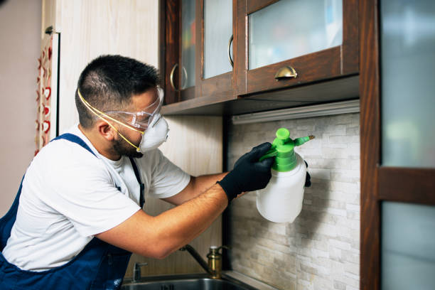 Best Insect Control  in Lebanon, OR