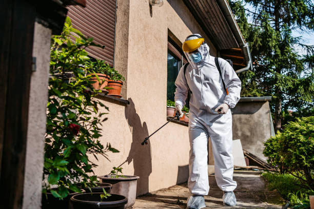 Best Local Pest Control Services  in Lebanon, OR
