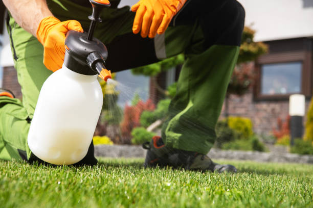 Best Emergency Pest Control  in Lebanon, OR
