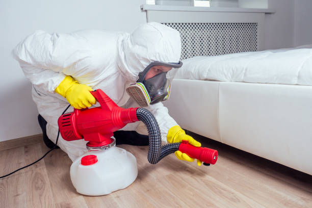 Best Pest Inspection Near Me  in Lebanon, OR