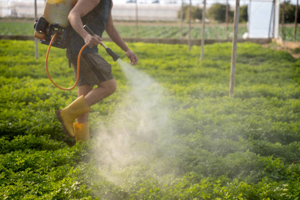 Best Residential Pest Control  in Lebanon, OR