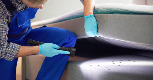 Best Ant Control Services  in Lebanon, OR