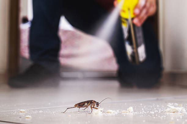 Best Pest Control for Restaurants  in Lebanon, OR