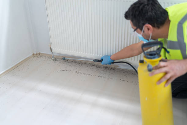 Pest Control for Restaurants in Lebanon, OR